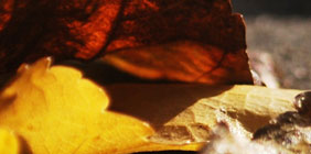 pics02