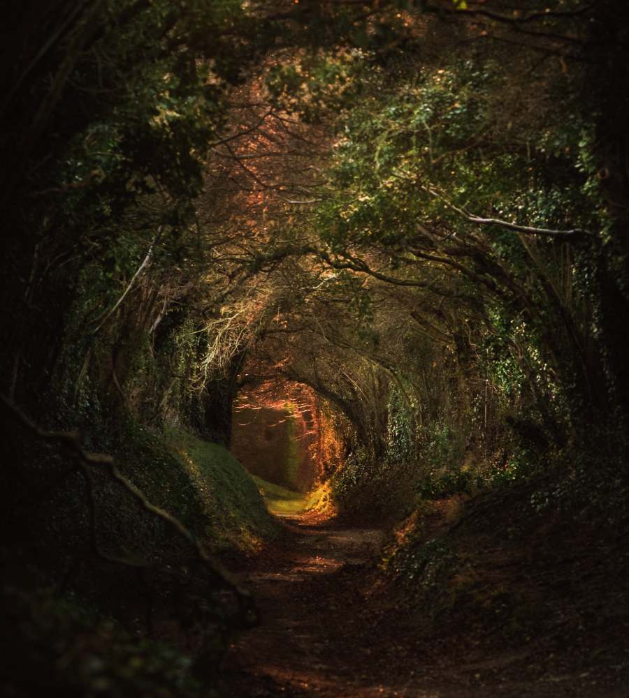 places06