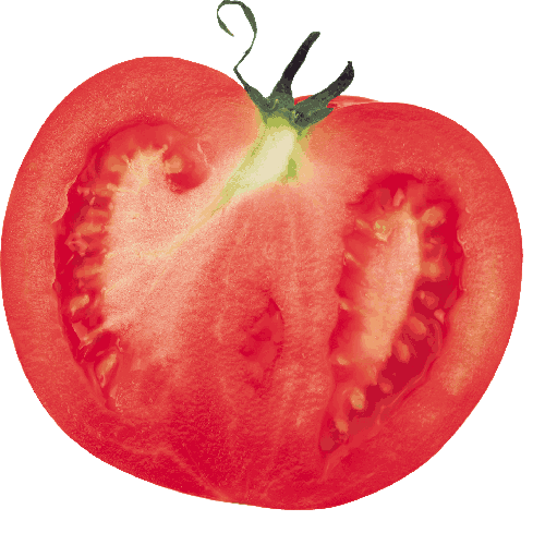 tomato