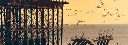 pics02